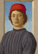 Retrato de un joven - Filippino Lippi — vista de la obra