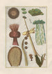 Natural History of Quadrupeds Pl27 - Filippo Buonanni — artwork view