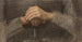 Study of Hands also known as Hands of Fantin - Félix Bracquemond — artwork view