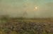 Campo de coles a la luz de la luna - Florent Crabeels — vista de la obra
