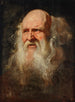 Estudio de cabeza de hombre - Escuela de Peter Paul Rubens — vista de la obra