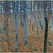 Reproduction of the painting Forest of Beech Trees - Gustav Klimt