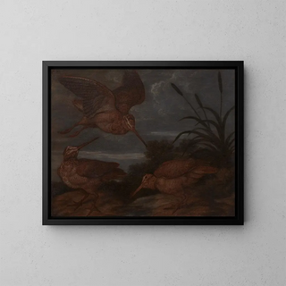 Francis Barlow - Woodcock at Dusk.webp