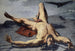Prométhée forgé sur un rocher - Frank Buchser — artwork view