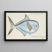 Brama brama NZ Ray's Bream - Frank Edward Clarke — cuadro enmarcado en la pared