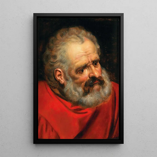 Frans Floris - A Bearded Old Man In A Red Cloak.webp