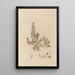 exotic plant drawings cultivated in the royal gardens of Kew Pl18 - Franz Andreas Bauer — framed artwork on a wall
