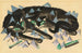 Dos gatos negros acostados - Franz Marc — vista de la obra