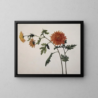 Franz Theobald Horny - Chrysanthemums.webp