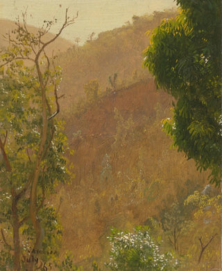 Frederic Edwin Church - Landscape IV.webp