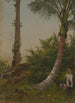 Trees in Jamaica, Caribbean - Frederic Edwin Church — artwork view