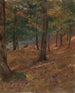 Escena boscoso - Frederic Edwin Church — vista de la obra