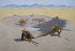 Fight for the Water Hole - Frederic Remington — artwork view