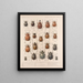 Insectes Coléoptères Pl 020 - Frederick Du Cane Godman — framed artwork on a wall