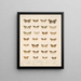 Insectos Lepidópteros Heteróceros Pl 056 - Frederick Du Cane Godman — cuadro enmarcado en la pared