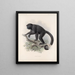 Mammalia Pl 01 - Frederick DuCane Godman — cuadro enmarcado en la pared