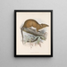 Mammalia Pl 14 - Frederick DuCane Godman — framed artwork on a wall