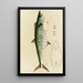 de Peces I - Frederick McCoy — cuadro enmarcado en la pared