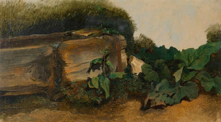 Friedrich August Matthias Gauermann - Blattpflanzen bei einem Brunnentrog.webp