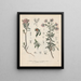 Libro de las plantas tóxicas Pl23 - Friedrich Berge — cuadro enmarcado en la pared