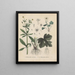 Libro sobre las plantas tóxicas Pl24 - Friedrich Berge — cuadro enmarcado en la pared