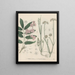 Libro de las plantas tóxicas Pl62 - Friedrich Berge — cuadro enmarcado en la pared