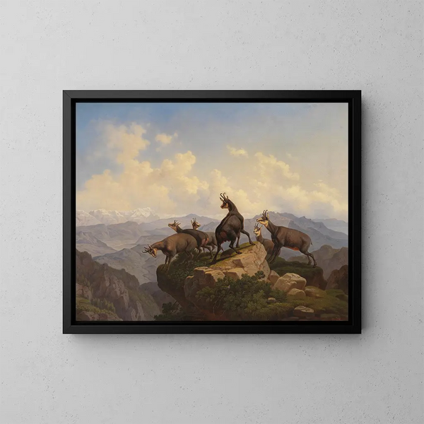 Chamois dans le Karwendel - Friedrich Hohe — cuadro enmarcado en la pared