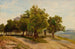 Group of Trees on Kahlenberg with View of Vienna - Friedrich Loos — artwork view