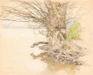 Un sauce en la orilla del lago - Fritz Lach — vista de la obra