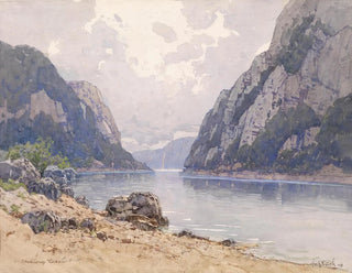 Kazan en el Danubio - Fritz Lach — vista de la obra