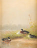 Ducks by the riverbank - Fritz Lange — artwork view