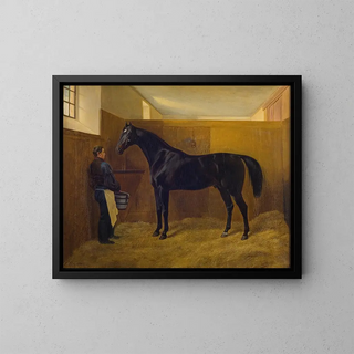 Zampa - Fritz Thomsen — cuadro enmarcado en la pared