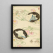 Bijutsukai Pl116 - Furuya Korin — framed artwork on a wall