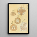 Bijutsukai Pl126 - Furuya Korin — framed artwork on a wall