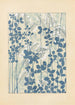 Bijutsukai Pl157 - Furuya Korin - Furuya Korin — vista de la obra