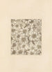 Bijutsukai Pl189 - Furuya Korin — artwork view