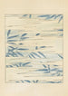 Bijutsukai Pl18 - Furuya Korin - Furuya Korin — artwork view