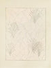 Bijutsukai Pl. 195 - Furuya Korin — vista de la obra