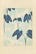 Bijutsukai Pl198 - Furuya Korin — artwork view