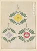 Bijutsukai Pl226 - Furuya Korin — artwork view