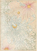 Bijutsukai Pl27 - Furuya Korin — artwork view