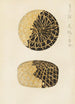 Bijutsukai Pl28 - Furuya Korin — artwork view