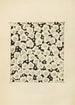 Bijutsukai Pl31 - Furuya Korin — artwork view