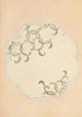 Bijutsukai Pl36 - Furuya Korin — artwork view