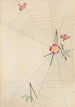 Bijutsukai Pl38 - Furuya Korin — artwork view