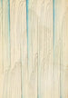 Bijutsukai Pl44 - Furuya Korin — artwork view