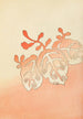 Bijutsukai Pl46 - Furuya Korin — artwork view