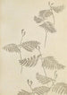Bijutsukai Pl51 - Furuya Korin — artwork view