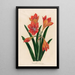 Amaryllis mexicana - Gaetano Savi — framed artwork on a wall