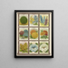 Kochia Larkspur Lobelia Souci - Genesee Valley Lithograph & Co.. — framed artwork on a wall